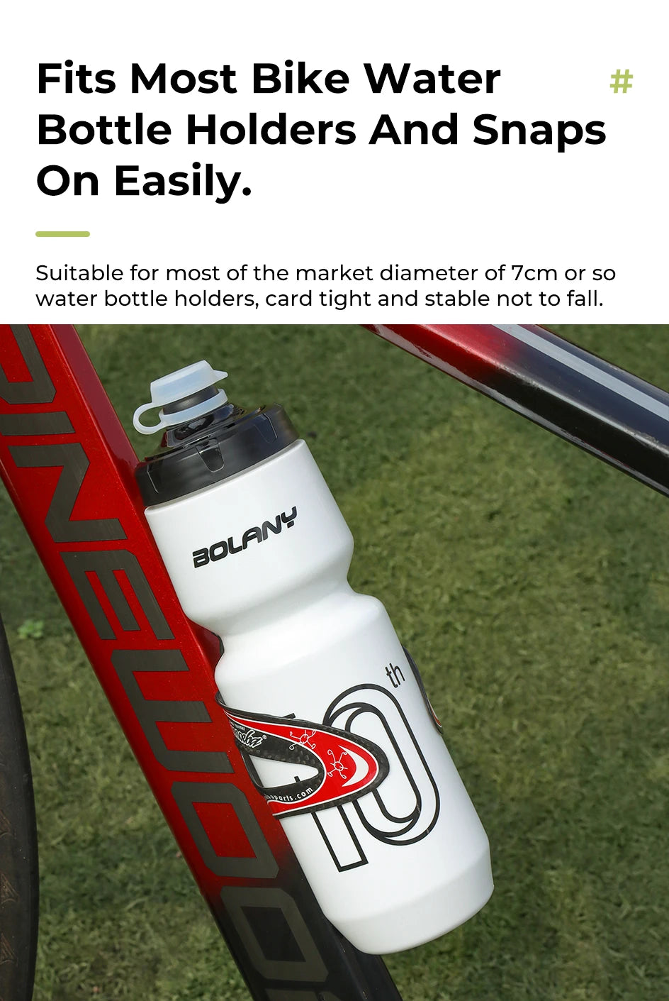 BOLANY bottle
